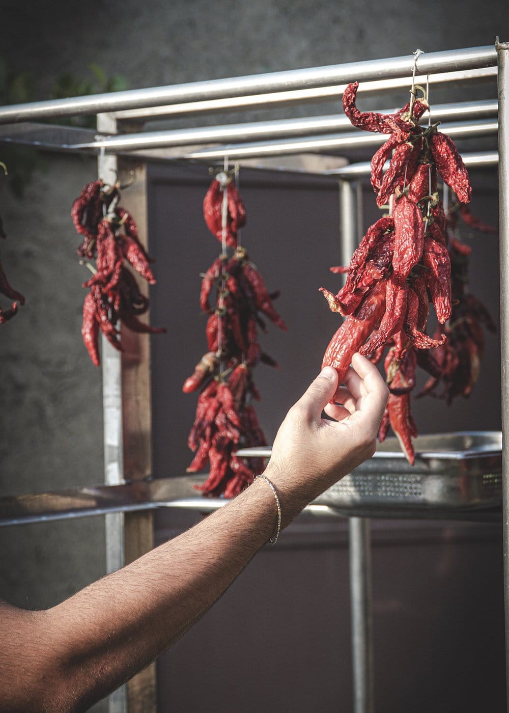 Mano cosechando ñoras secas — ingredientes artesanales de la cocina de La Stalla